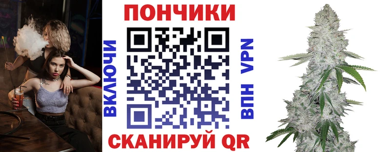 Бошки Шишки план Цивильск